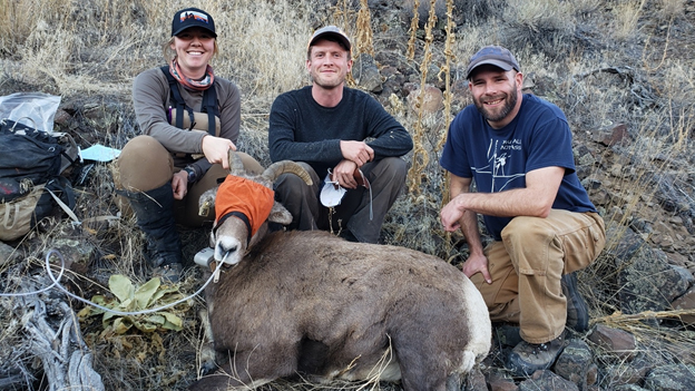 Gavin and colleagues with bighorn sheep