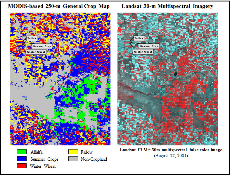 A 250-meter crop map derived from multitemporal MODIS vegetation index (VI) data and multispectral 30-meter Landsat imagery over southwest Kansas.  Field-level crop patterns and conditions can be mapped and monitored using time-series MODIS VI data detect changes in land use/land cover patterns, assess crop conditions, monitor crop phenology and estimate biophysical characteristics of crops. 