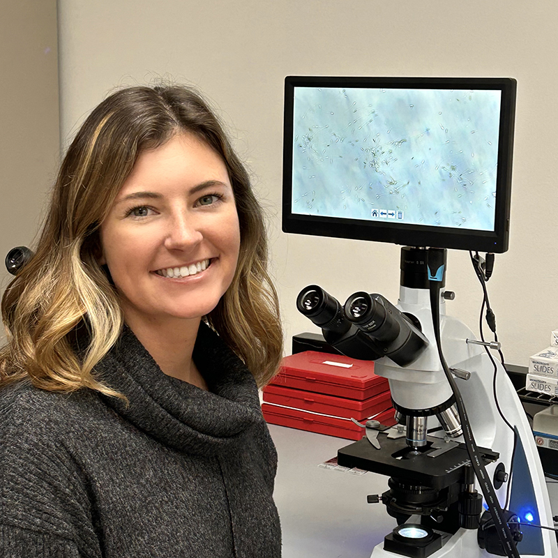 Campbell has been studying the reproductive health of male African elephants