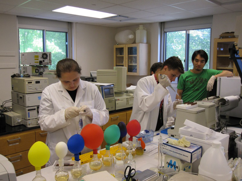 Student participating in lab expirment durning summer camp.