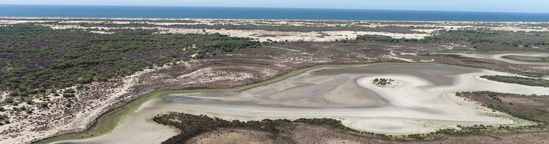 Donana National Park, Spain
