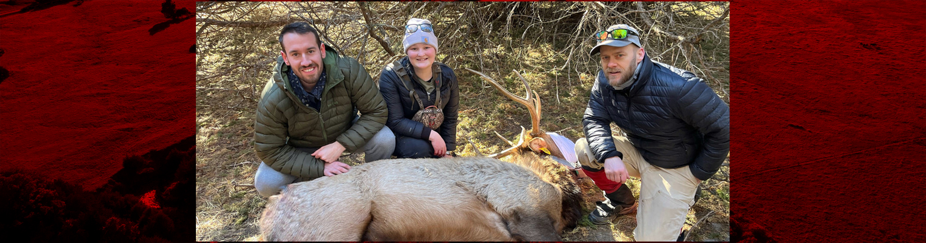 Jake Harvey (left), Tabitha Hughes (center) and John Benson tag an elk during elk captures in February.