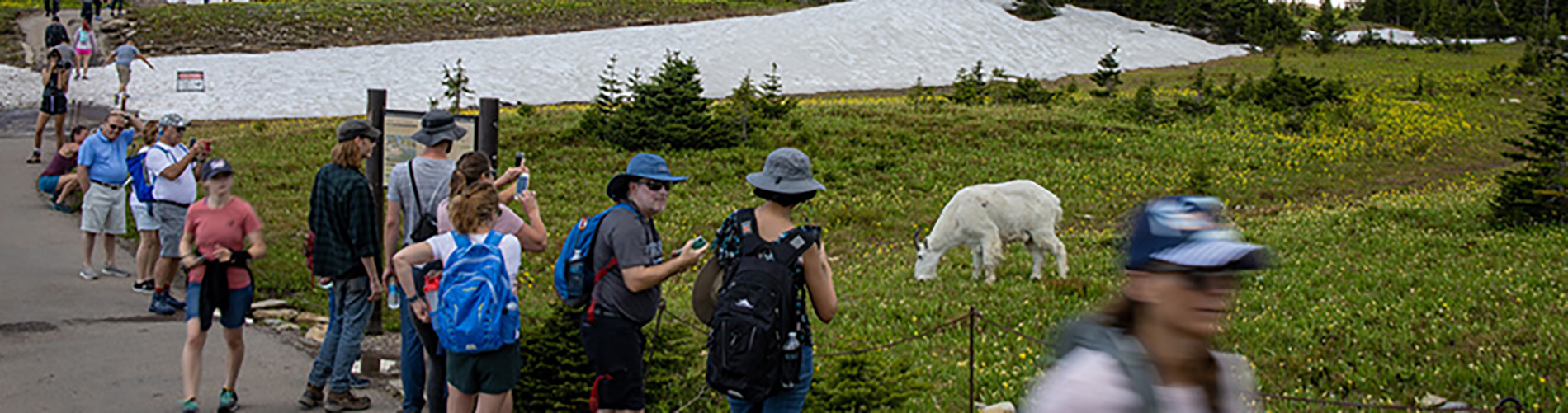 People with Goat