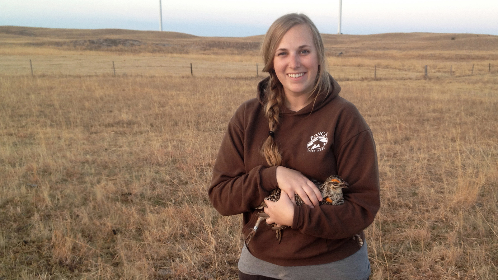 SNR Alumni: Jocelyn Olney Harrison - Greater prairie-chicken nest site selection unaffected by wind energy facility