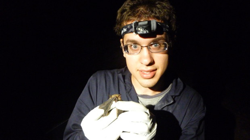 Study allows Husker to hang with bats