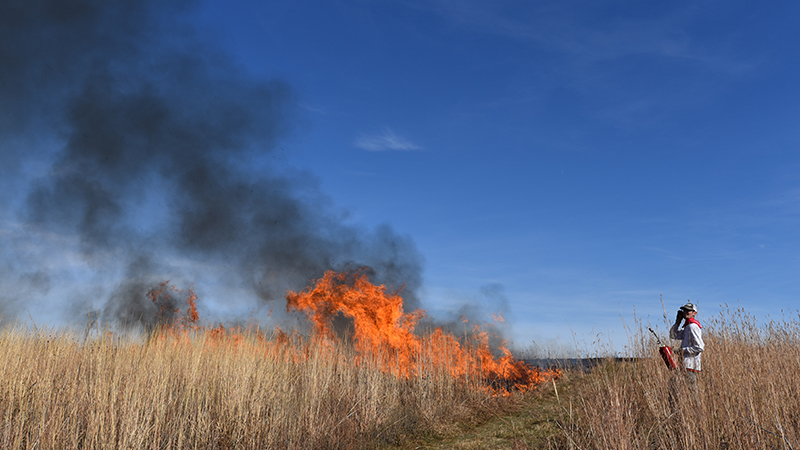 Prescribed burn an educational opportunity for students