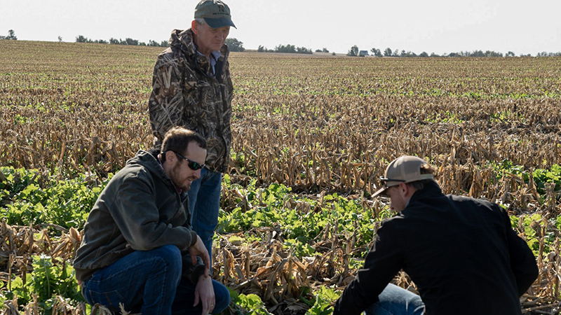 Discussion in field