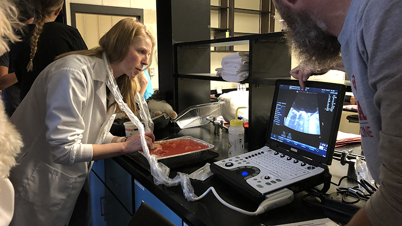 SNR Alumni: Carolyn Hanish — Nebraska's Professional Program in Veterinary Medicine 