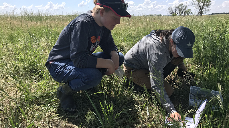 Cabela's funding helps SNR undergraduates pursue research projects 