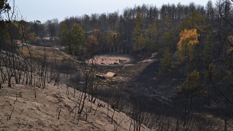 After Bovee Fire, Nebraska National Forest confronts its hand-planted history