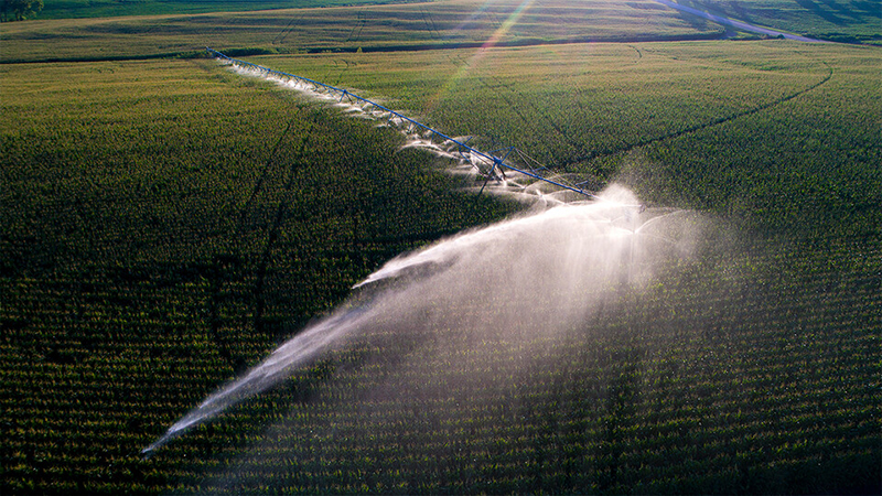 Arindam Malakar and Daniel Snow recently led a study of how irrigation and fertilizer application may contribute to nitrate leaching, which in turn can trigger chemical reactions that potentially mobilize arsenic and uranium. 