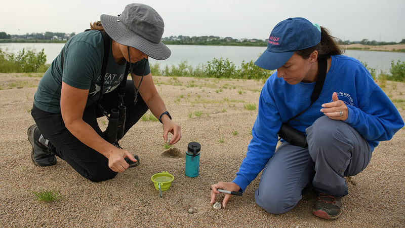 Alisa Halpin and daughter, Summer Larkihn, a research technician at the University of Nebraska–Lincoln, spend hours each summer tracking the endangered birds, aiding conservation efforts.