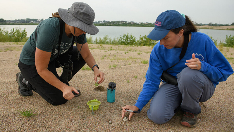 Mother-daughter pair pursues conservation of Nebraska’s terns, plovers