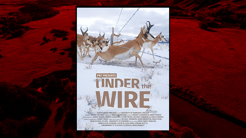 "Under the Wire" film from Platte Basin Timelapse released on February 1, 2024