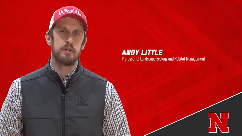 Faculty Spotlight: Andy Little