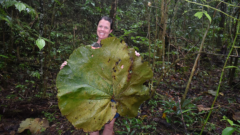 Ann Powers with large Leaf