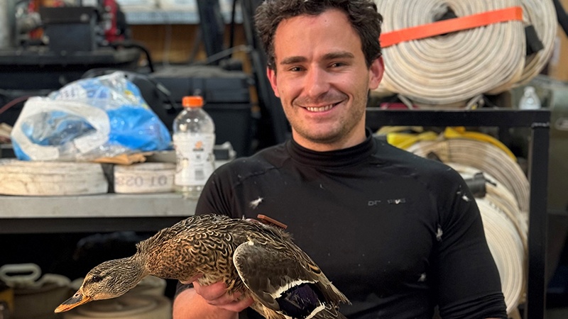 Dittmer sees duck survival smarts through gritty research