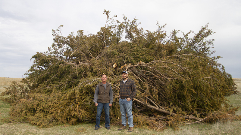 University helps neighboring ranchers oust red cedars