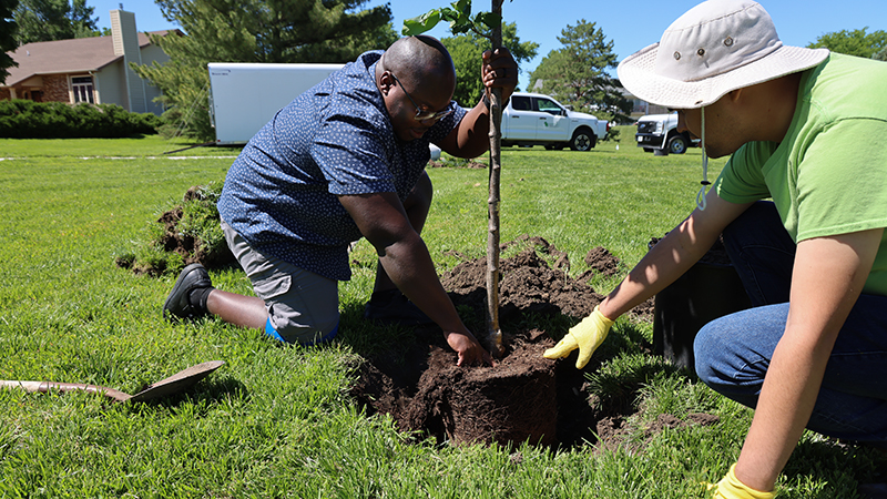 Andrew Mwape and volunteer planting tree