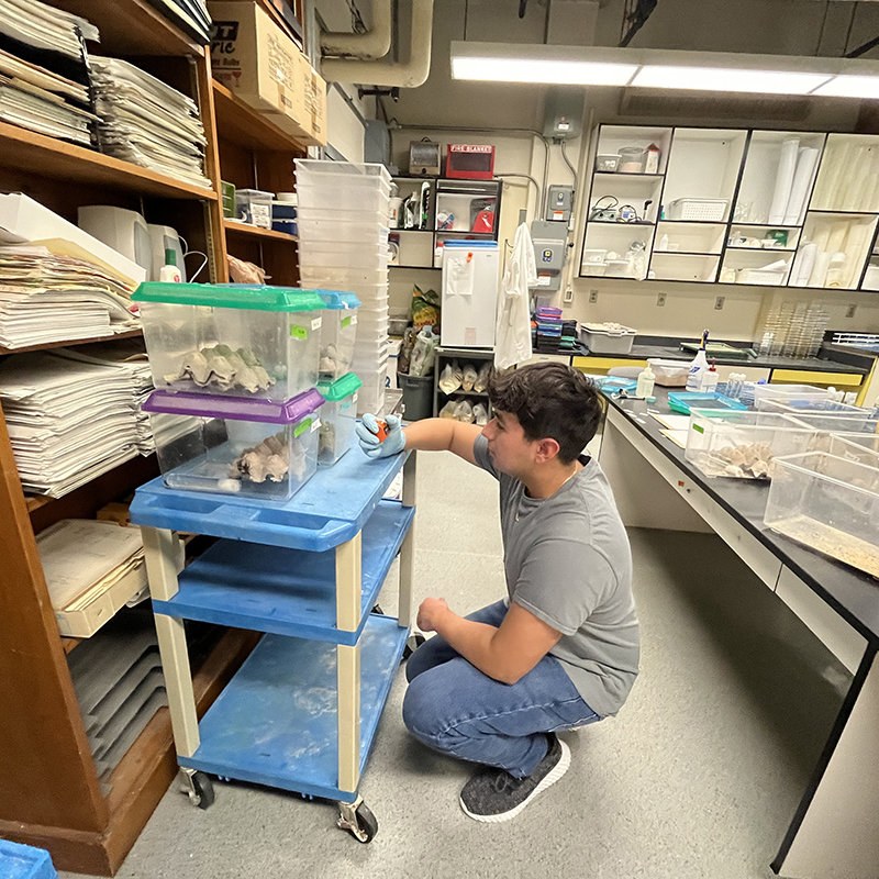 Anguiano-Rivera gives food, water and shelter to monarch butterflies