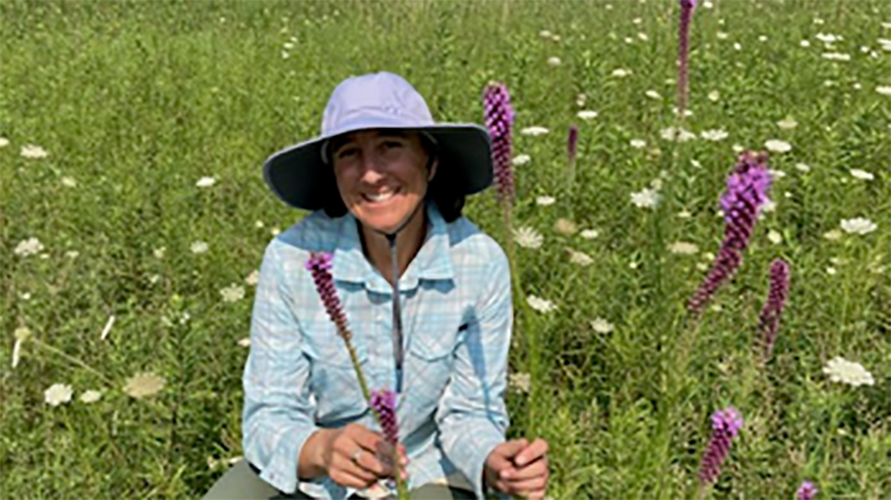 Nebraska researchers flesh out theory on ability of ecosystems to improve