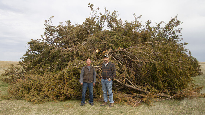 Martens surveys resilience in Nebraska's Sandhills