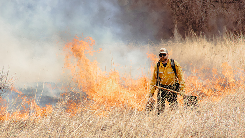 Koehler carries out a prescribed fire