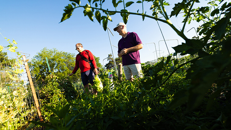 Vegetables, bonds grow at East Campus Community Gardens