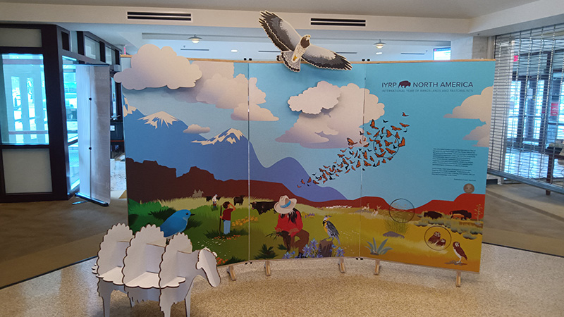 International Year of Rangelands & Pastoralists Display in Hardin Hall 