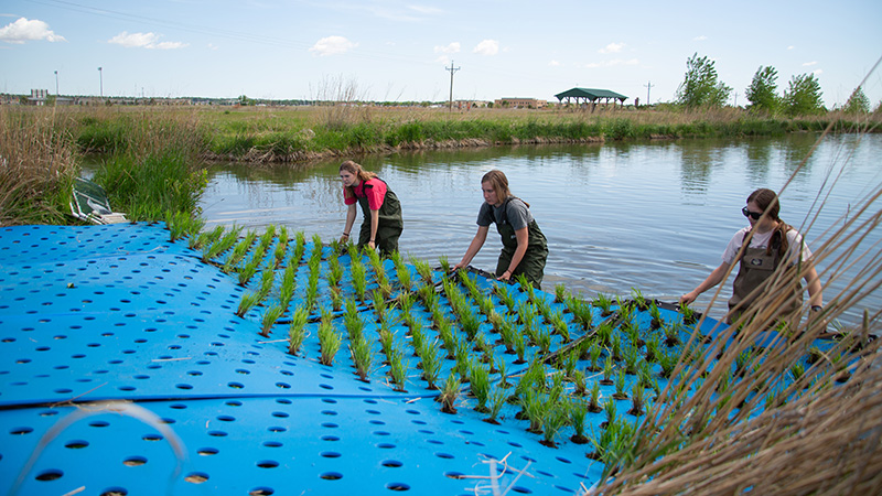Restoring Nebraska’s Ponds: New Extension Guide Offers Practical Solutions