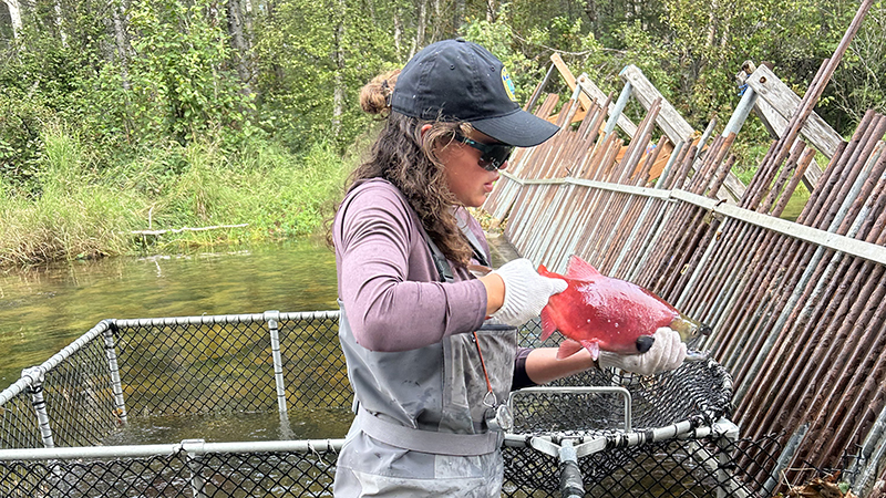 SNR Alumni: Morris gains sense of 'fearlessness' in Alaskan wilderness