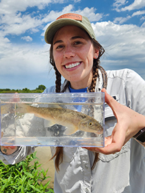 Renner, Elizabeth (Liz)