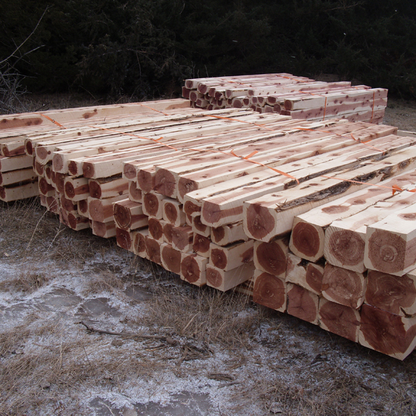 Eastern redcedar logs removed from oak woodlands to be utilized by commercial timber mills. 