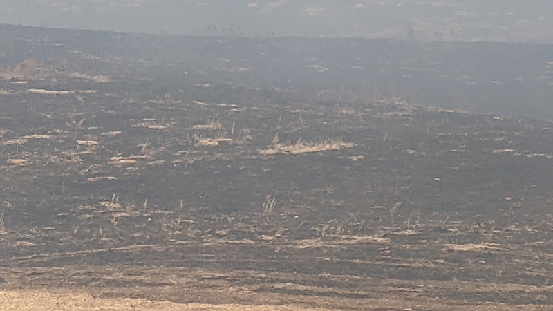 Prescribed burns of four 150-acre pastures at the Barta Brothers Ranch near Rose, Nebraska, on March 18, 2022