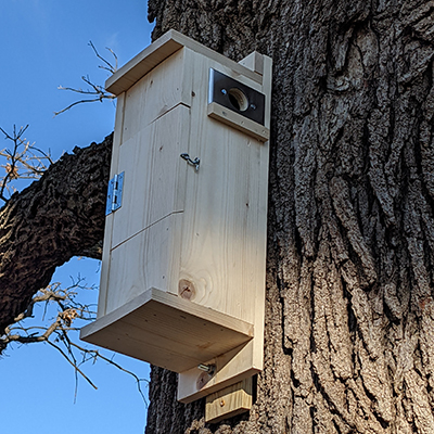 box on tree