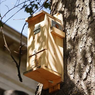 Nest box in tree