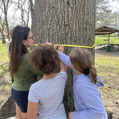 Students measuring the diameter of tree