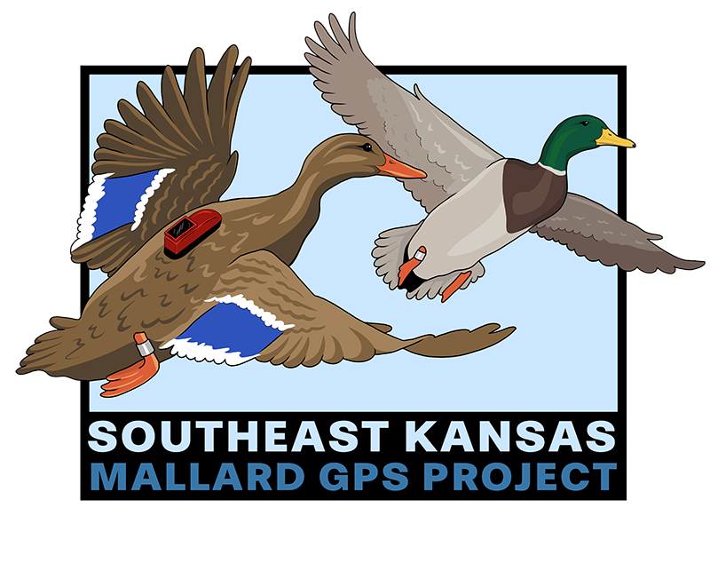 SE Mallard Project Logo