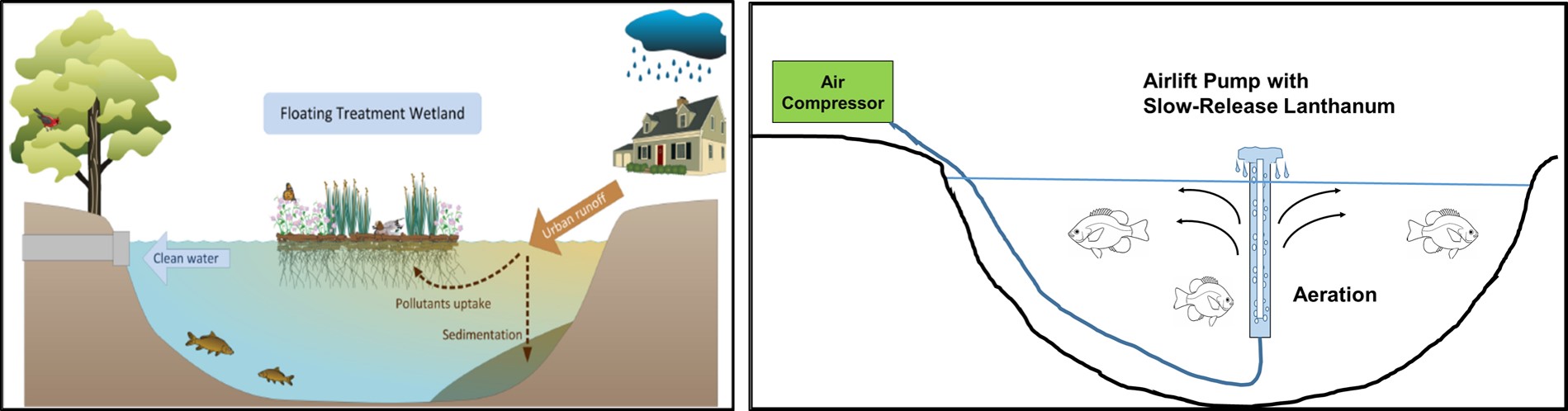 Research schematic