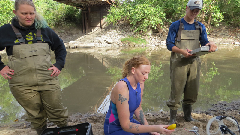 On sandbar making measurement