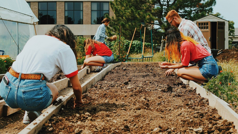 Planting garden