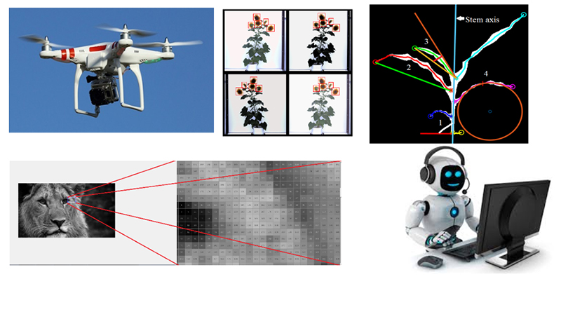 various AI images