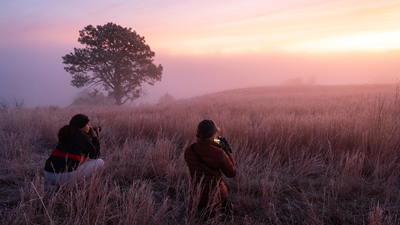 Foggy Sunrise