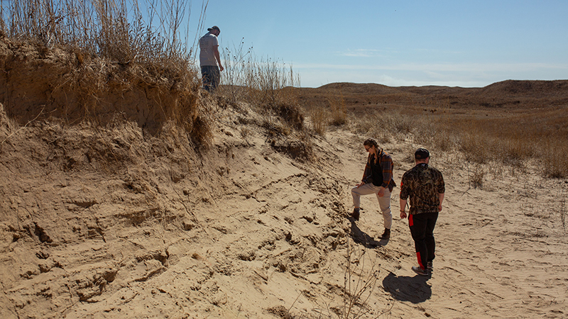 Looking for beetle tracks in the blowout