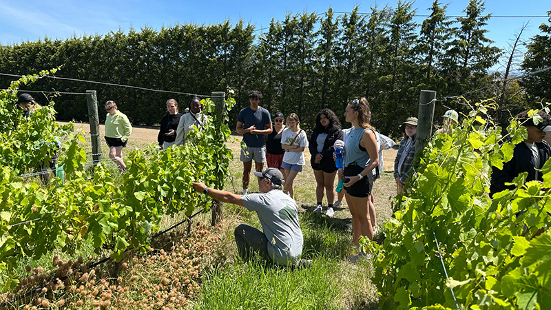 Steve Lubiano at winery