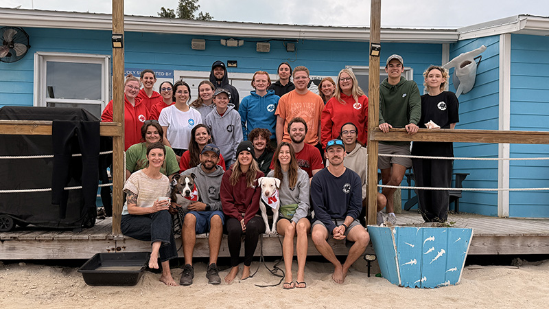 Group at Shark lab