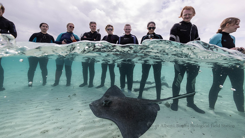 Sting ray with Students