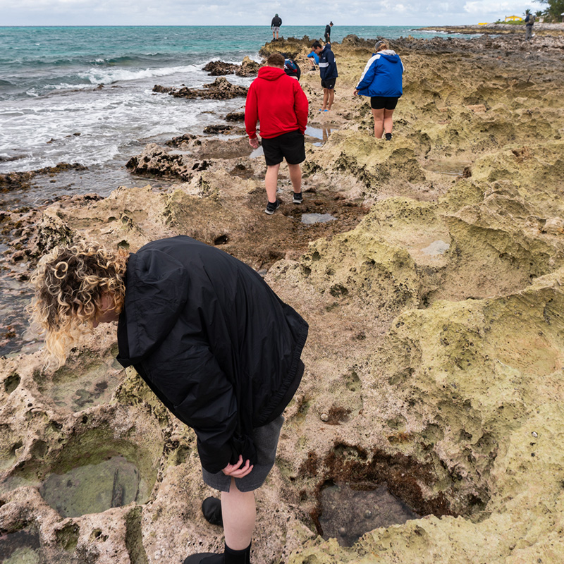 Tidepools