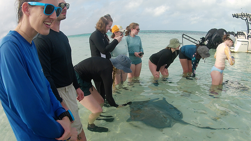 Students in water with Stingray