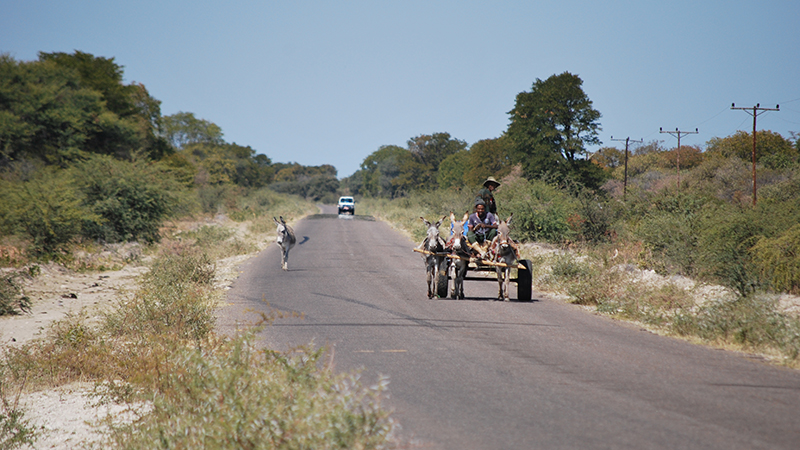 Cart in road